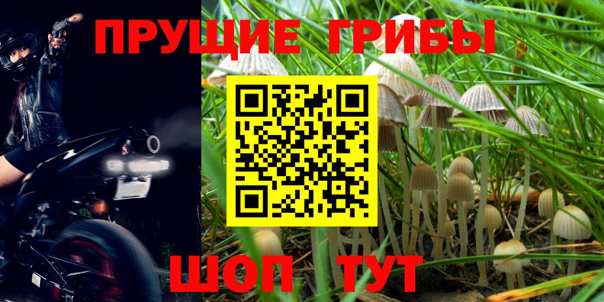Красноармейск  Галлюциногенные грибы GOLDEN TEACHER  Вход с VPN 
